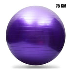 Médecine Ball , Ballon de gymnastique exercice Fitness Yoga Au choix 55/65/75/85/95 CM